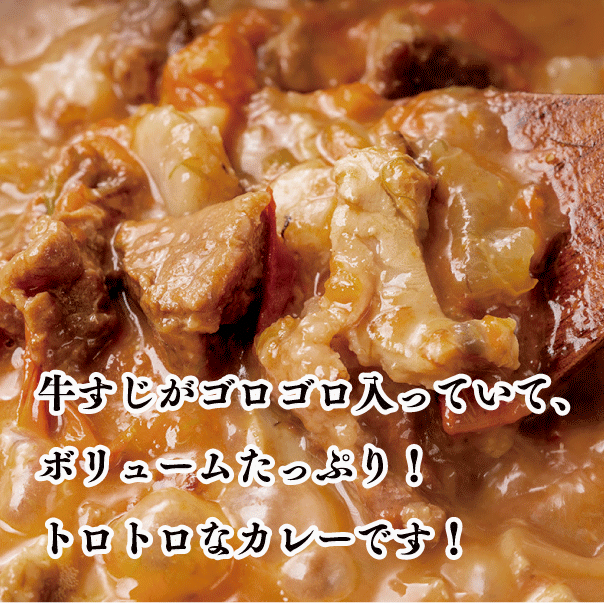 宮崎県産 黒毛和牛の牛すじカレー: 260g×12