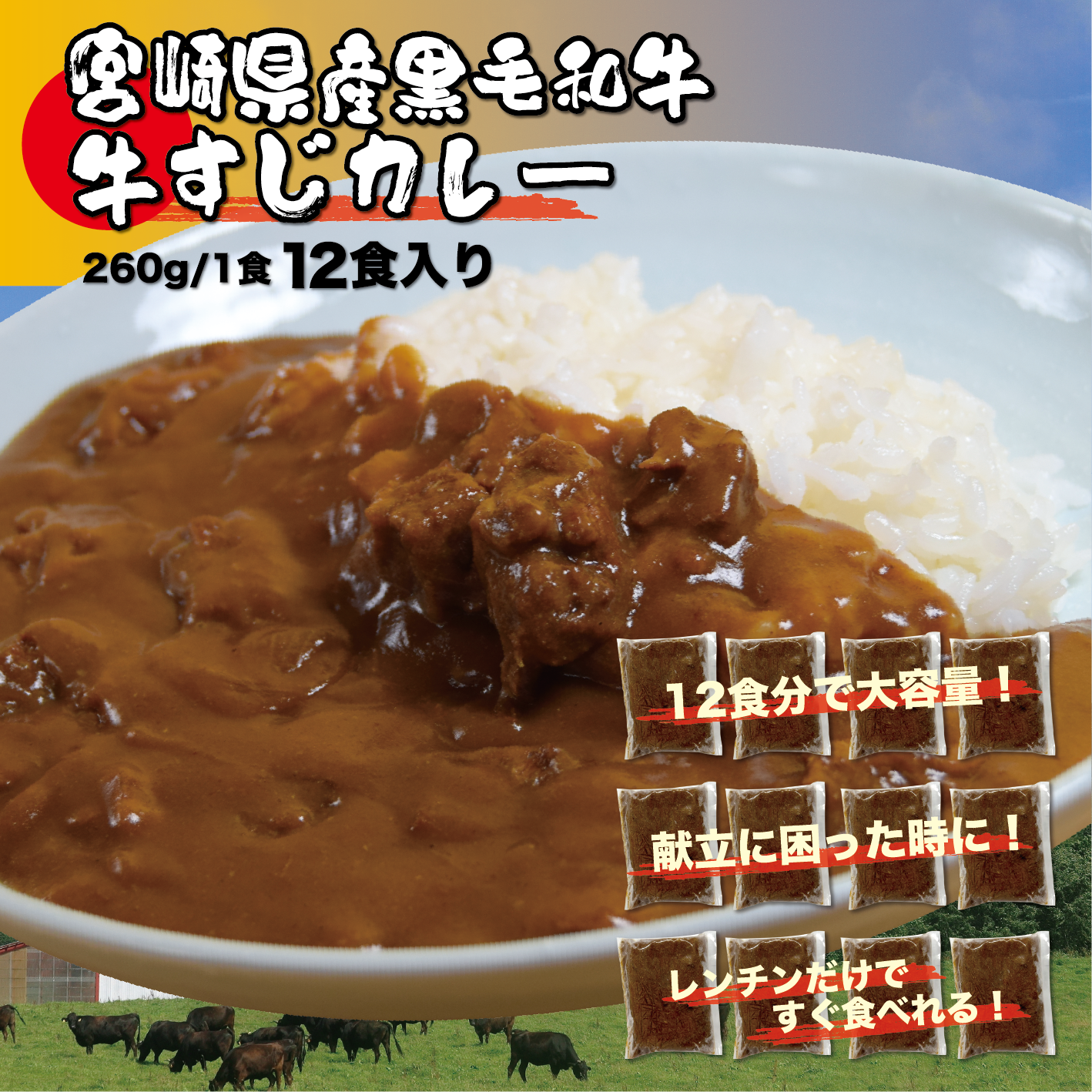 宮崎県産 黒毛和牛の牛すじカレー: 260g×12