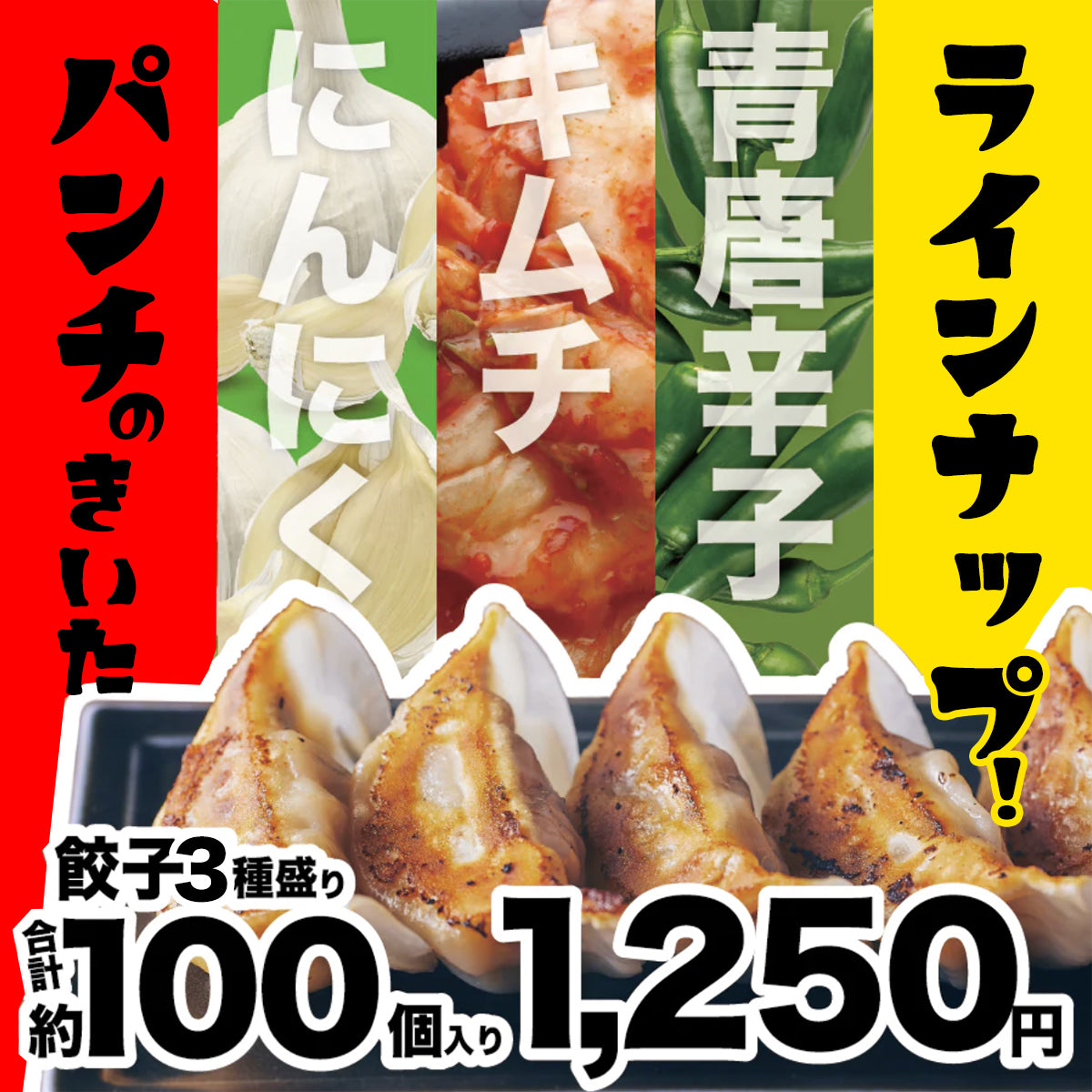 【送料込み】業餃業の3種盛りパック餃子！1,250円（100個）