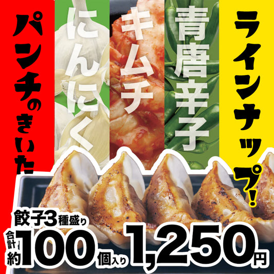 【送料込み】業餃業の3種盛りパック餃子！1,250円（100個）
