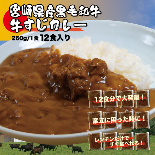 宮崎県産 黒毛和牛の牛すじカレー: 260g×12
