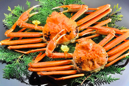 【2種食べ比べ】剥く手間なし<ズワイガニ夫婦セット>セイコガニ甲羅詰め1P×ズワイガニ甲羅盛り1P