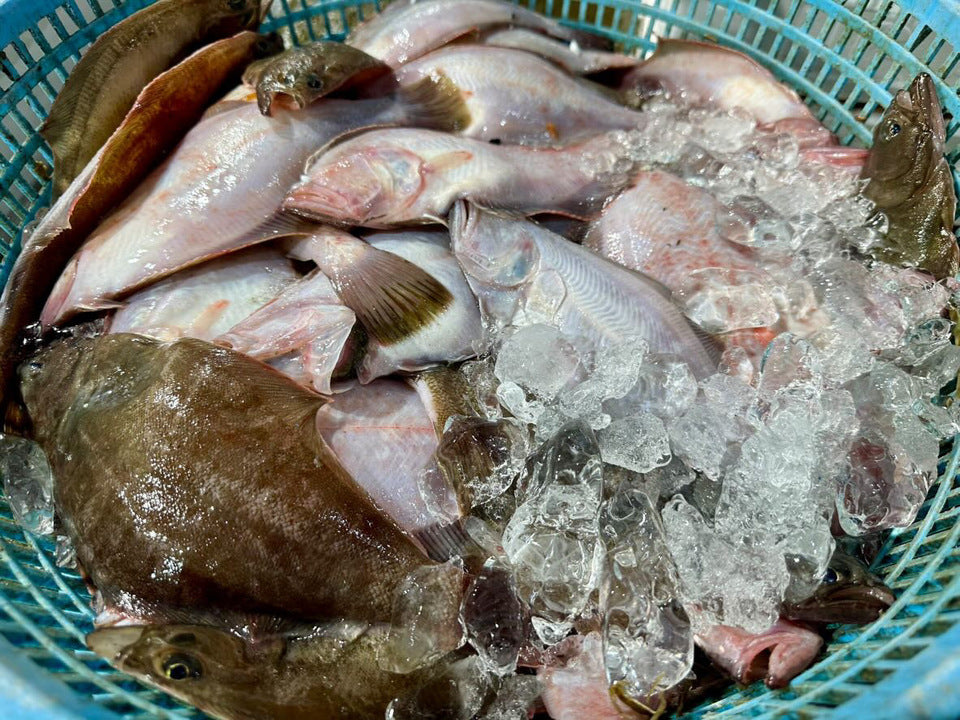 新鮮加工＜越前漁師カレイ漬け＞　化学調味料・保存料不使用 75g