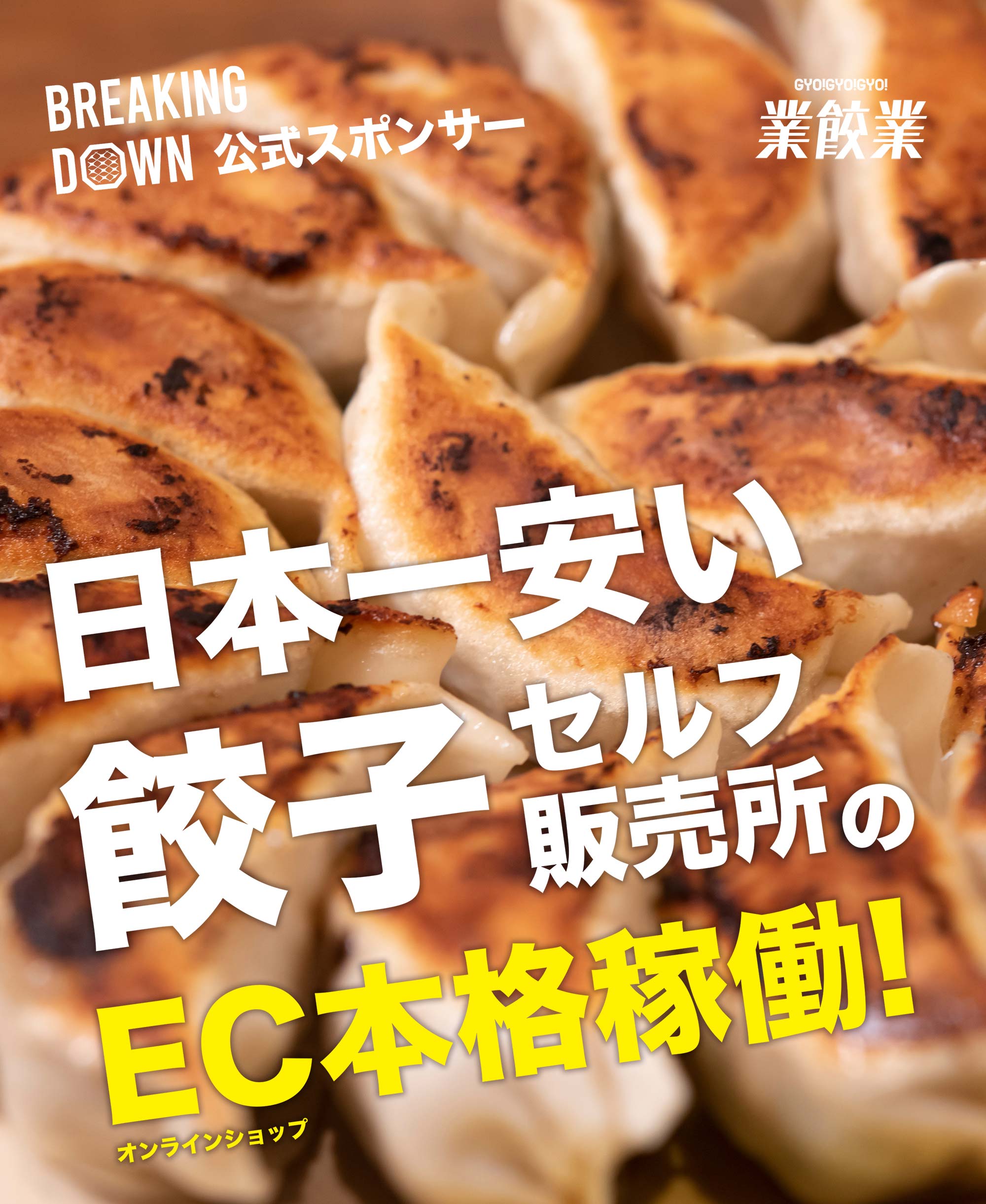 業餃業一番人気の王道・特餃子36個